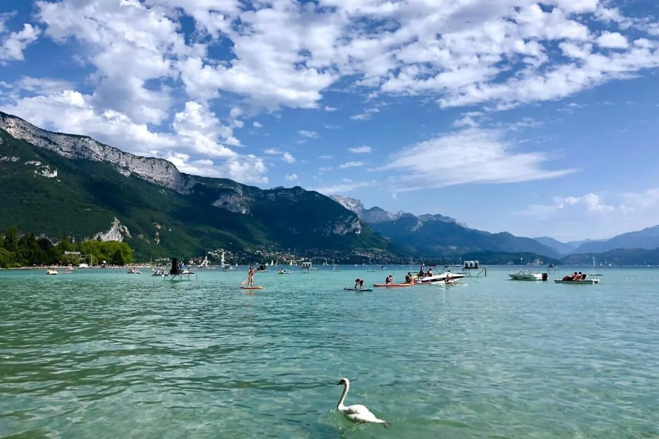Apartment Studio Hyper Center 100M From The Lake! Annecy